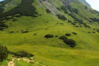 2015-07-04_2Sonnjoch (122).JPG